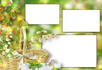 श्रेणी से फ़ोटो प्रभाव महिलाओं के फोटो फ्रेम № 151667