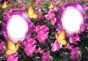 श्रेणी से फ़ोटो प्रभाव महिलाओं के फोटो फ्रेम № 151815