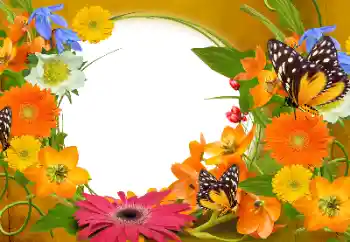 श्रेणी से फ़ोटो प्रभाव महिलाओं के फोटो फ्रेम № 152894