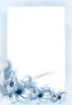 श्रेणी से फ़ोटो प्रभाव महिलाओं के फोटो फ्रेम № 152955