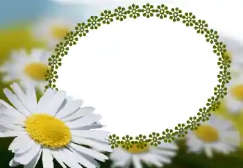 श्रेणी से फ़ोटो प्रभाव महिलाओं के फोटो फ्रेम № 152966