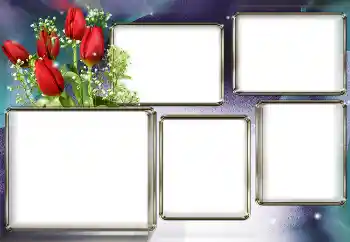 श्रेणी से फ़ोटो प्रभाव महिलाओं के फोटो फ्रेम № 153003