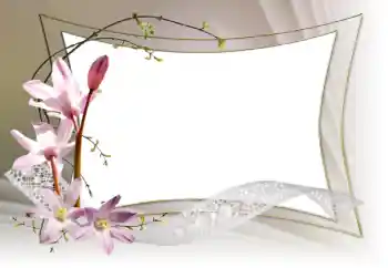 श्रेणी से फ़ोटो प्रभाव महिलाओं के फोटो फ्रेम № 153036