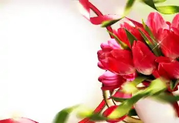 श्रेणी से फ़ोटो प्रभाव महिलाओं के फोटो फ्रेम № 153228