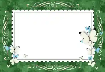 श्रेणी से फ़ोटो प्रभाव महिलाओं के फोटो फ्रेम № 154319