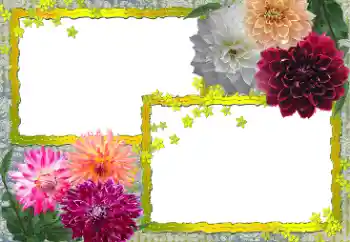 श्रेणी से फ़ोटो प्रभाव महिलाओं के फोटो फ्रेम № 154361