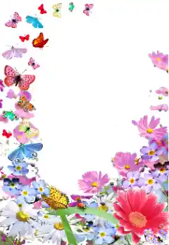 श्रेणी से फ़ोटो प्रभाव महिलाओं के फोटो फ्रेम № 154470