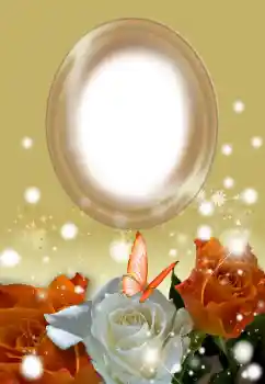 श्रेणी से फ़ोटो प्रभाव महिलाओं के फोटो फ्रेम № 154504