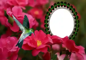 श्रेणी से फ़ोटो प्रभाव महिलाओं के फोटो फ्रेम № 154585