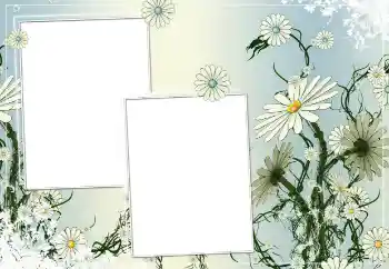 श्रेणी से फ़ोटो प्रभाव महिलाओं के फोटो फ्रेम № 154786