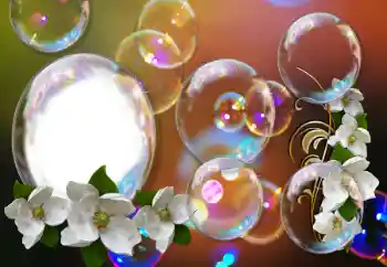 श्रेणी से फ़ोटो प्रभाव महिलाओं के फोटो फ्रेम № 155793