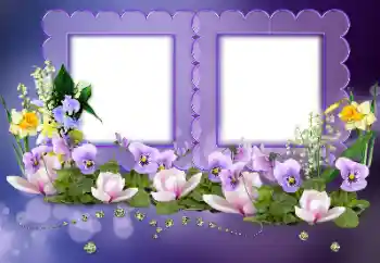 श्रेणी से फ़ोटो प्रभाव महिलाओं के फोटो फ्रेम № 155795