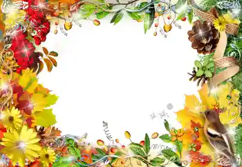 श्रेणी से फ़ोटो प्रभाव महिलाओं के फोटो फ्रेम № 155799