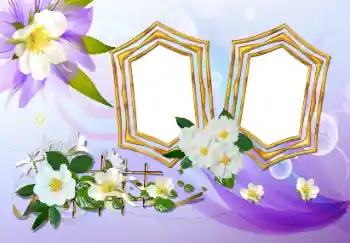 श्रेणी से फ़ोटो प्रभाव महिलाओं के फोटो फ्रेम № 155815