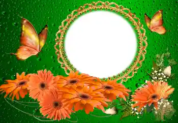 श्रेणी से फ़ोटो प्रभाव महिलाओं के फोटो फ्रेम № 155817