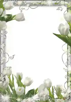 श्रेणी से फ़ोटो प्रभाव महिलाओं के फोटो फ्रेम № 155849