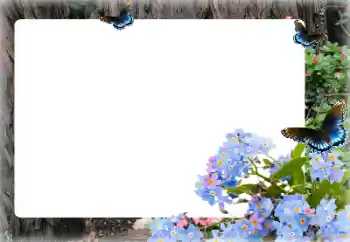 श्रेणी से फ़ोटो प्रभाव महिलाओं के फोटो फ्रेम № 155873