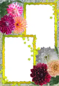 श्रेणी से फ़ोटो प्रभाव महिलाओं के फोटो फ्रेम № 155888