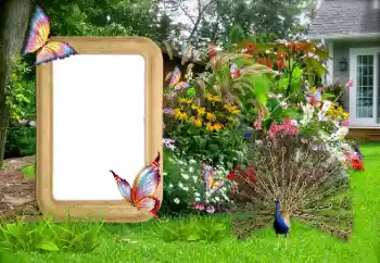 श्रेणी से फ़ोटो प्रभाव महिलाओं के फोटो फ्रेम № 155936