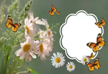 श्रेणी से फ़ोटो प्रभाव महिलाओं के फोटो फ्रेम № 157064