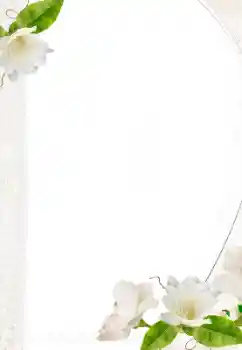 श्रेणी से फ़ोटो प्रभाव महिलाओं के फोटो फ्रेम № 157069