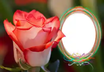 श्रेणी से फ़ोटो प्रभाव महिलाओं के फोटो फ्रेम № 157090