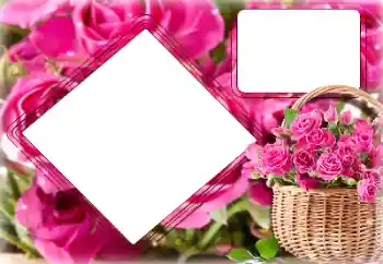 श्रेणी से फ़ोटो प्रभाव महिलाओं के फोटो फ्रेम № 157091