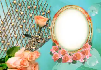 श्रेणी से फ़ोटो प्रभाव महिलाओं के फोटो फ्रेम № 157126