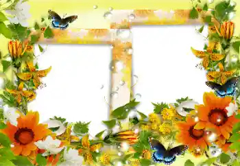 श्रेणी से फ़ोटो प्रभाव महिलाओं के फोटो फ्रेम № 158241