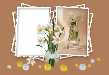 श्रेणी से फ़ोटो प्रभाव महिलाओं के फोटो फ्रेम № 158348