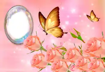 श्रेणी से फ़ोटो प्रभाव महिलाओं के फोटो फ्रेम № 158388