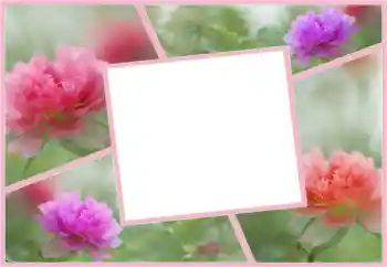 श्रेणी से फ़ोटो प्रभाव महिलाओं के फोटो फ्रेम № 160554