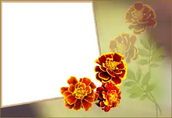 श्रेणी से फ़ोटो प्रभाव महिलाओं के फोटो फ्रेम № 160560