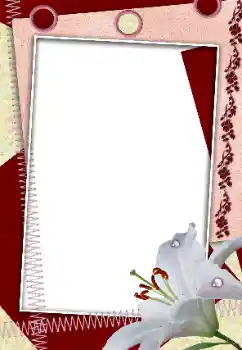 श्रेणी से फ़ोटो प्रभाव महिलाओं के फोटो फ्रेम № 160618