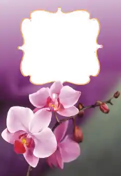 श्रेणी से फ़ोटो प्रभाव महिलाओं के फोटो फ्रेम № 160699