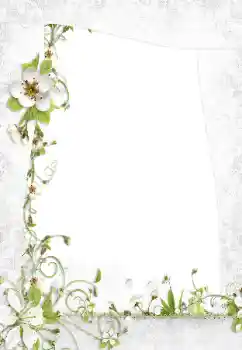 श्रेणी से फ़ोटो प्रभाव महिलाओं के फोटो फ्रेम № 160795