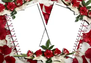 श्रेणी से फ़ोटो प्रभाव महिलाओं के फोटो फ्रेम № 160866