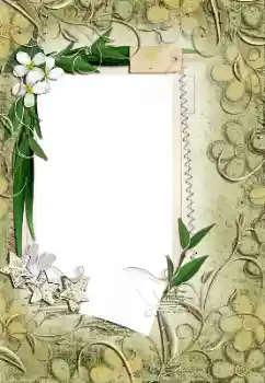 श्रेणी से फ़ोटो प्रभाव महिलाओं के फोटो फ्रेम № 161971