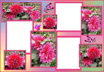 श्रेणी से फ़ोटो प्रभाव महिलाओं के फोटो फ्रेम № 162009