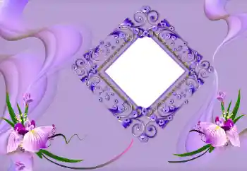 श्रेणी से फ़ोटो प्रभाव महिलाओं के फोटो फ्रेम № 163219