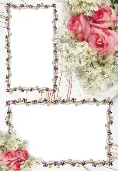 श्रेणी से फ़ोटो प्रभाव महिलाओं के फोटो फ्रेम № 163256