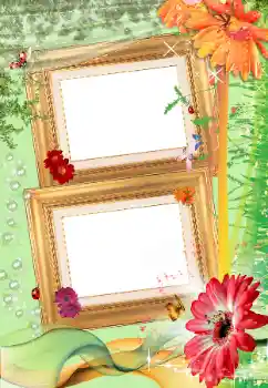 श्रेणी से फ़ोटो प्रभाव महिलाओं के फोटो फ्रेम № 163300