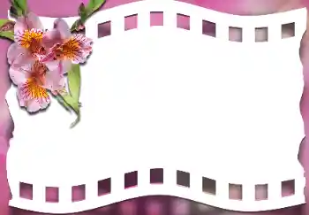 श्रेणी से फ़ोटो प्रभाव महिलाओं के फोटो फ्रेम № 163337