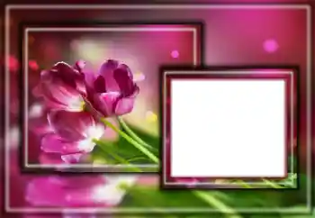 श्रेणी से फ़ोटो प्रभाव महिलाओं के फोटो फ्रेम № 164601