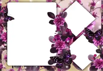 श्रेणी से फ़ोटो प्रभाव महिलाओं के फोटो फ्रेम № 164747