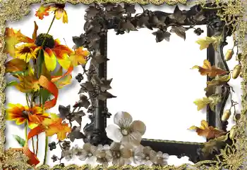 श्रेणी से फ़ोटो प्रभाव महिलाओं के फोटो फ्रेम № 164786