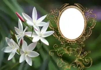 श्रेणी से फ़ोटो प्रभाव महिलाओं के फोटो फ्रेम № 164897