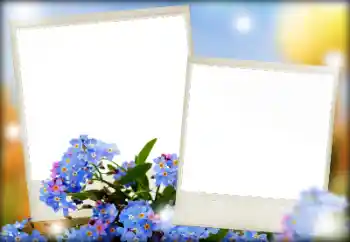 श्रेणी से फ़ोटो प्रभाव महिलाओं के फोटो फ्रेम № 166068