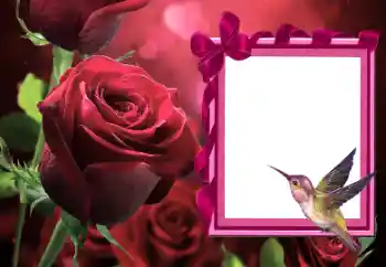 श्रेणी से फ़ोटो प्रभाव महिलाओं के फोटो फ्रेम № 166111