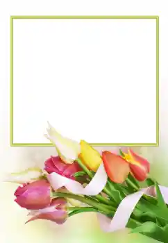 श्रेणी से फ़ोटो प्रभाव महिलाओं के फोटो फ्रेम № 166153